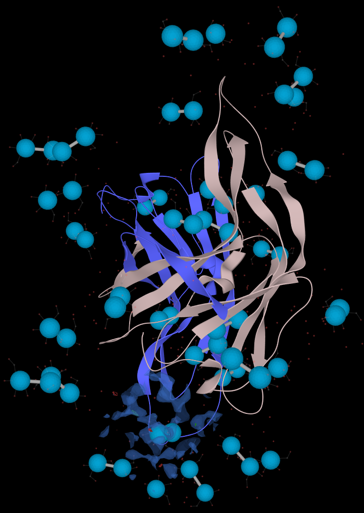 PDB: 1ECY